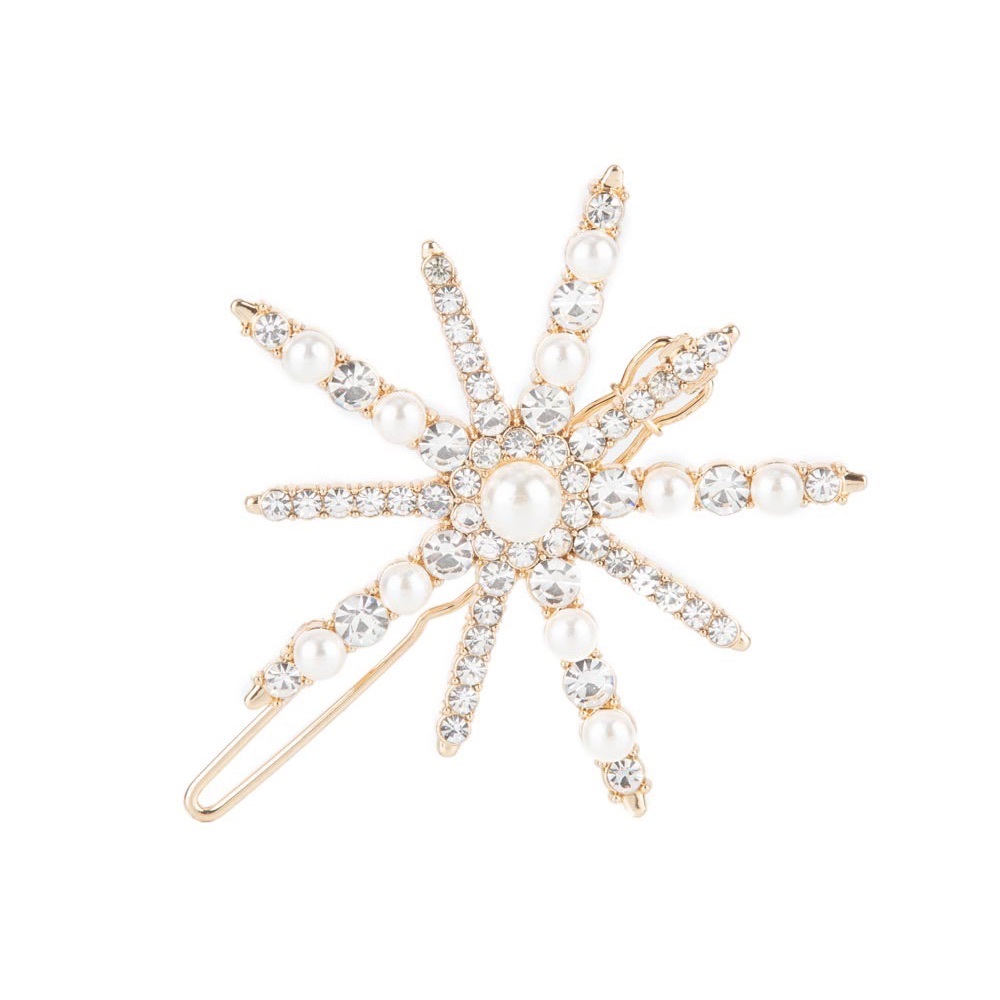❤️Leading Luminary Hair Clip